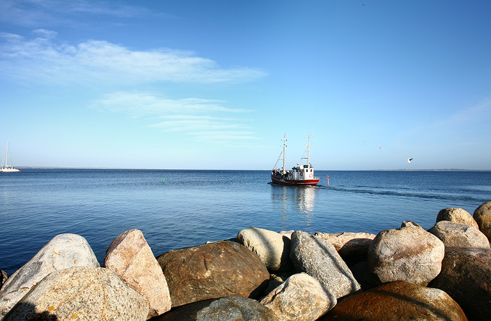 sea