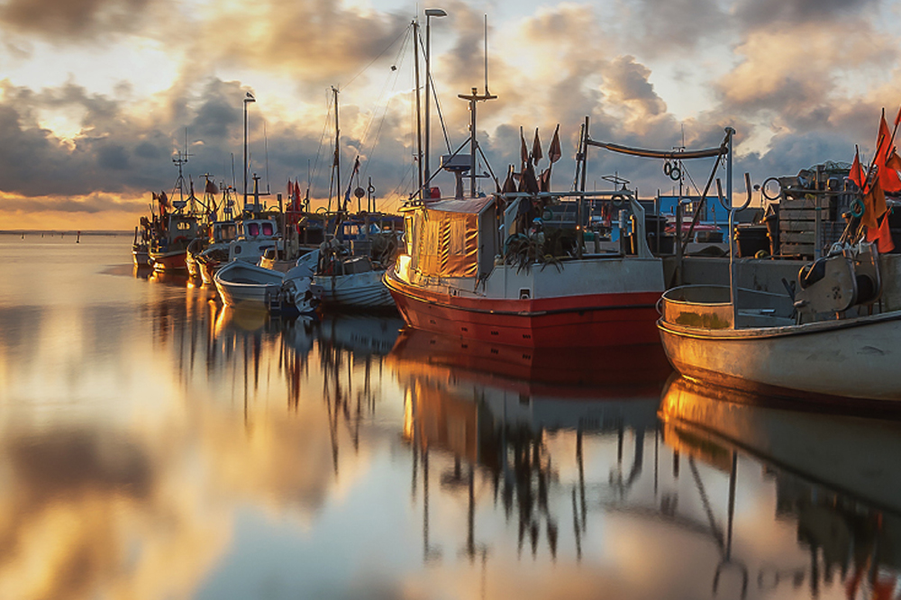 HvideSande_havn_red