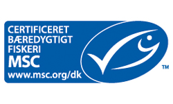 MSC_logo-1