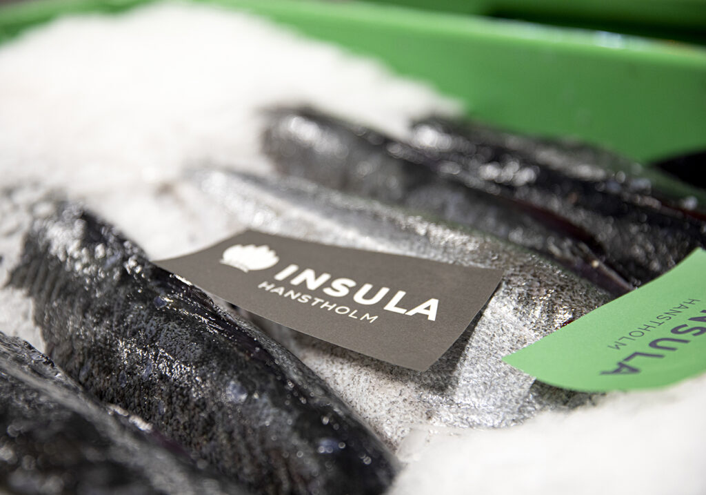 Friske fisk fra Hanstholm Fiskeauktion Friske fisk fra Hanstholm Fiskeauktion